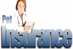 What`s in a Pet Insurance?