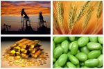 Have Commodities Reached its Lowest?
