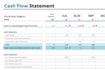 Cash Flow Procedures Made Easy